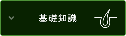 基礎知識