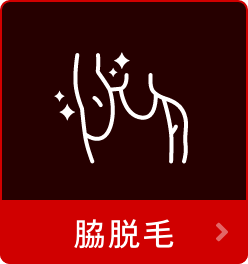 脇脱毛