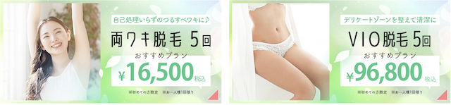 フェミークリニックのおすすめプラン画像