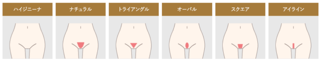 ウィルビークリックのVIO脱毛デザイン紹介画像