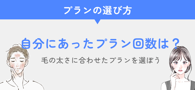 自分にあったプランの回数