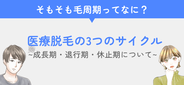 医療脱毛の毛周期コラムの3つのサイクル見出し画像