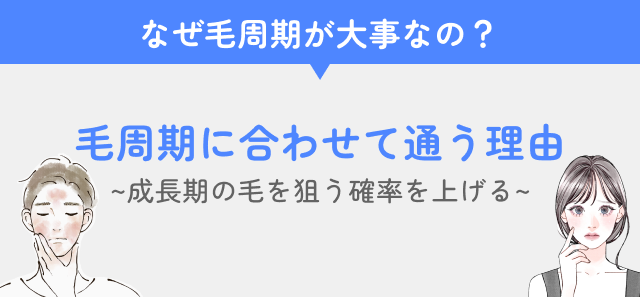 医療脱毛の毛周期コラムの合わせて通う理由見出し画像