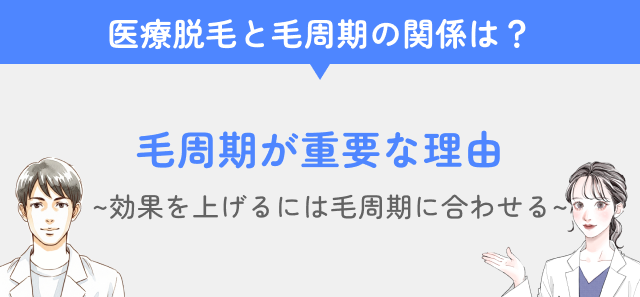 医療脱毛の毛周期コラムの結論見出し画像