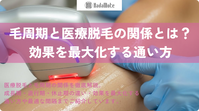 毛周期と医療脱毛の関係｜効果を最大化する通い方画像
