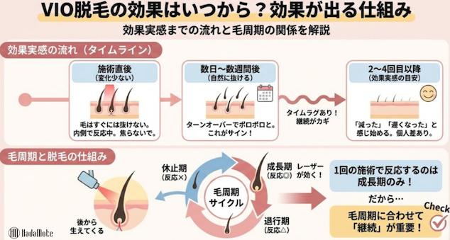 VIO脱毛の効果コラム仕組み紹介画像