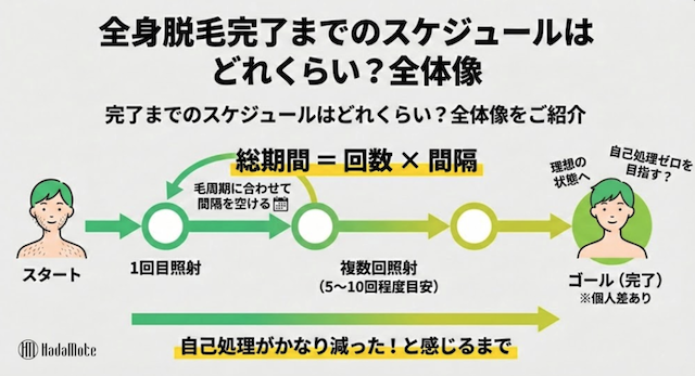 全身脱毛のスケジュール全体像画像